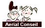 Aerial Conseil